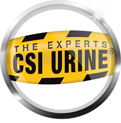 CSI Urine