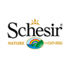 Schesir