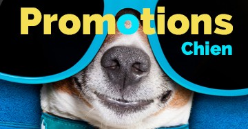Promotions chiens
