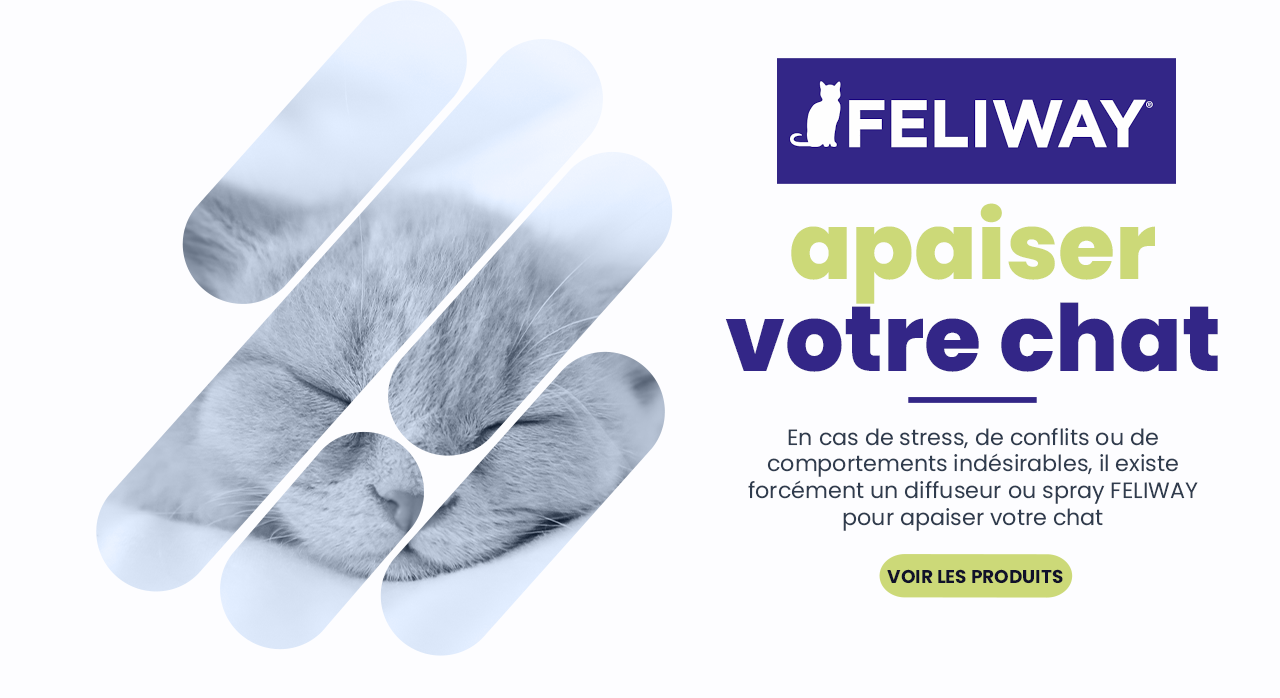 Avec les produits FELIWAY, apaiser votre chat dans toutes les circonstances de sa vie